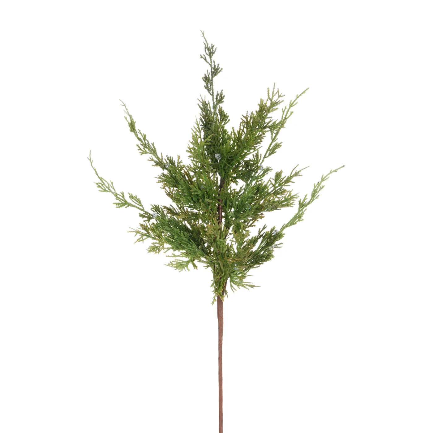 CEDAR JUNIPER BRANCH 24''