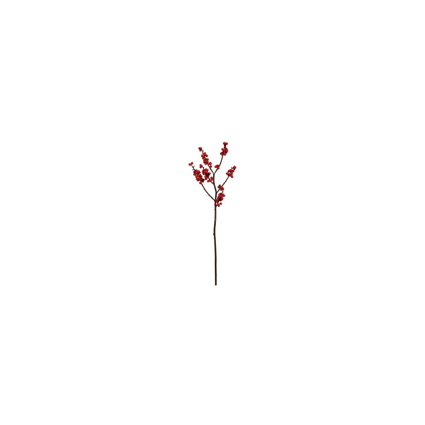CHRISTMAS BERRY S. 22'' (RED)