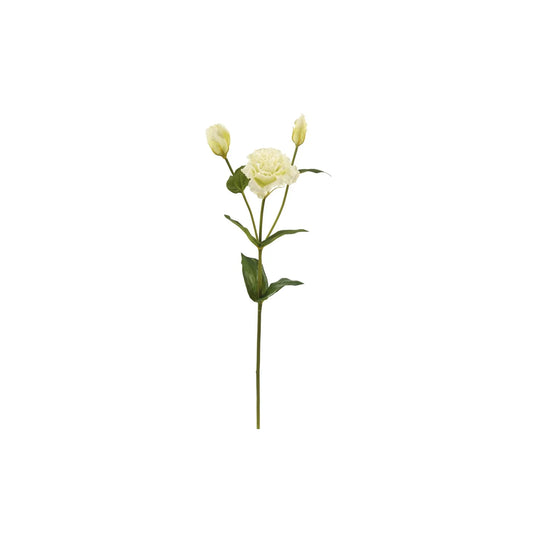 LISIANTHUS 22'' (WHITE)