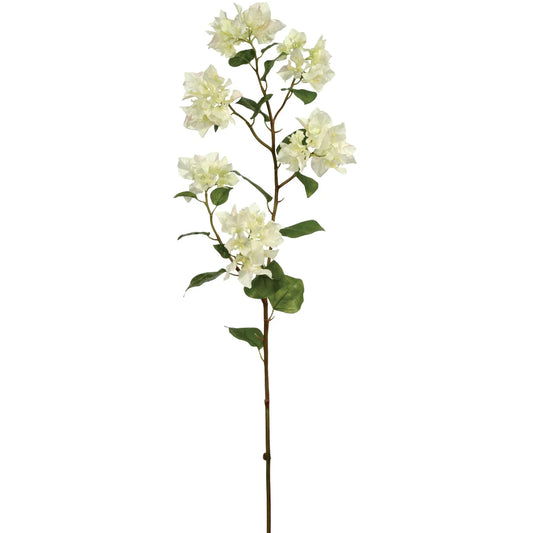 BOUGAINVILLEA 37.5'' (WHITE)