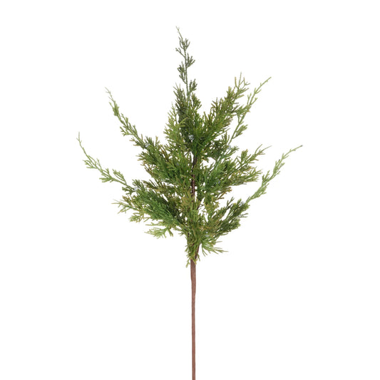 CEDAR JUNIPER BRANCH 24''