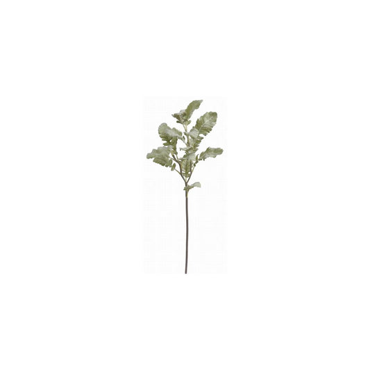 DUSTY MILLER SPRAY 21'' (GREEN)