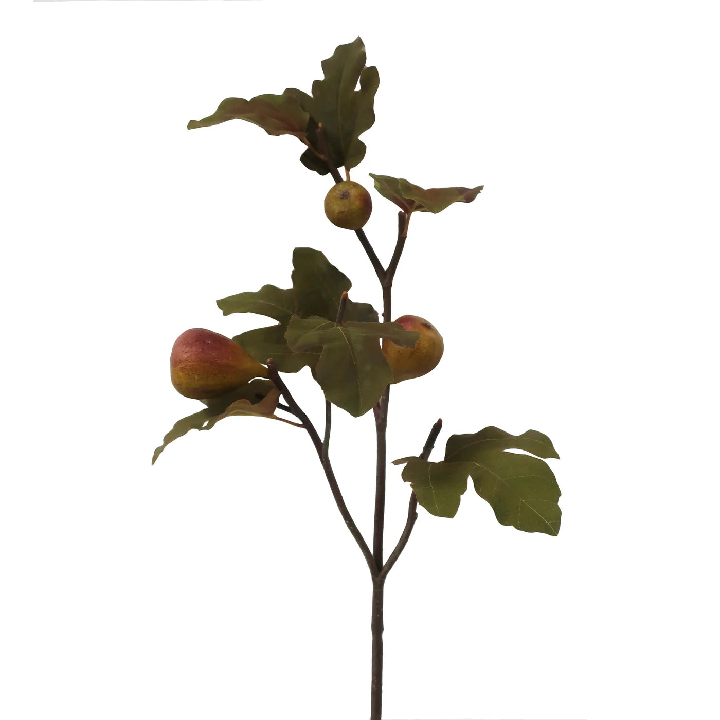 DRY FIG FRUIT BRANCH 28''