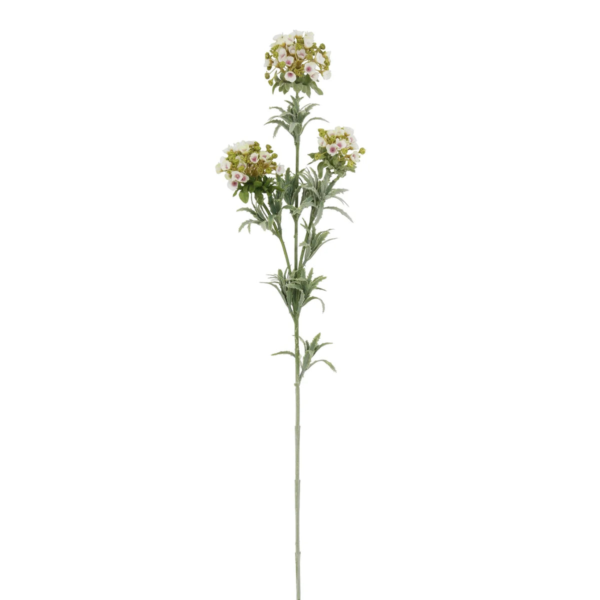 MOUNTAIN BLOOM 30'' (LAVENDER WHITE)
