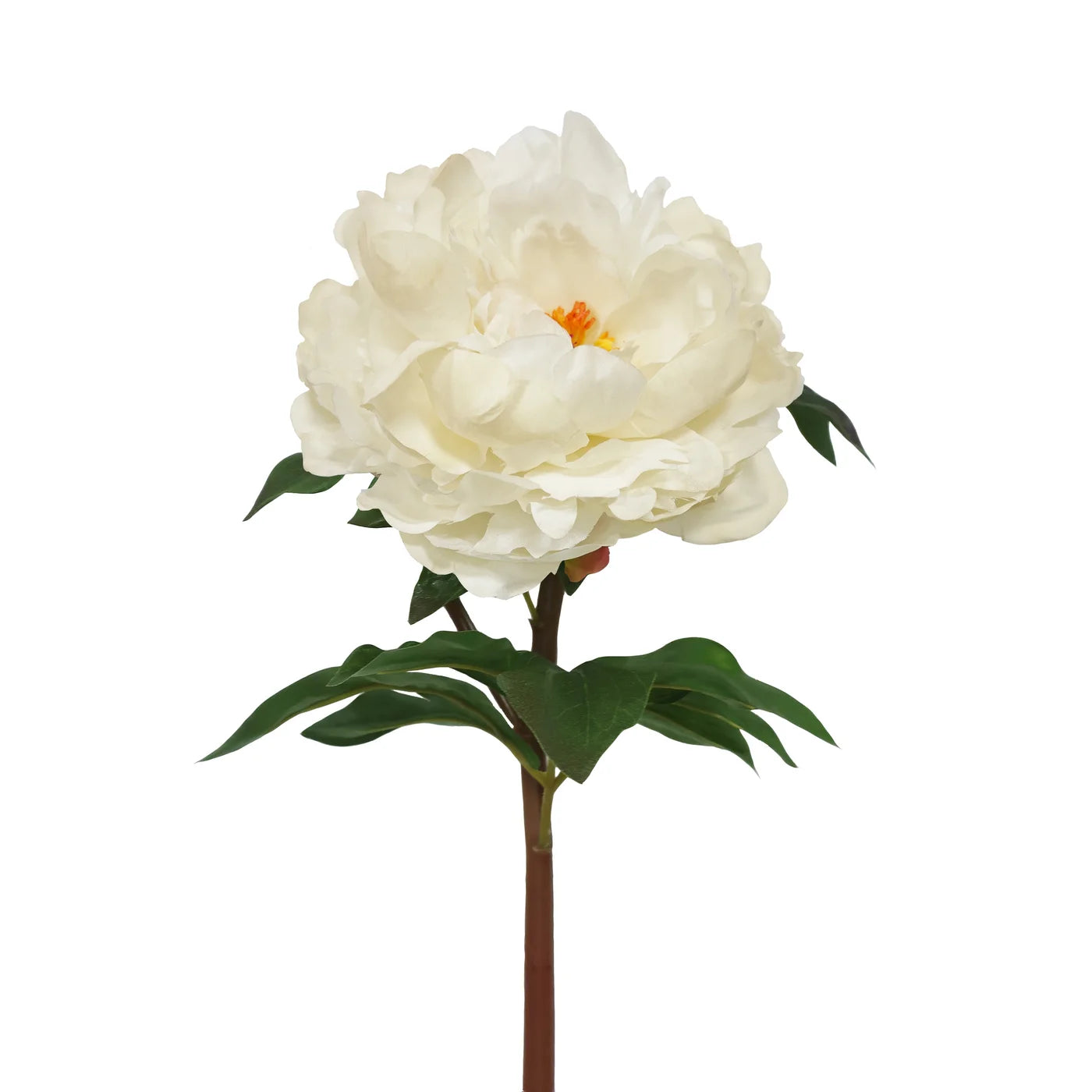 PEONY 20.5''