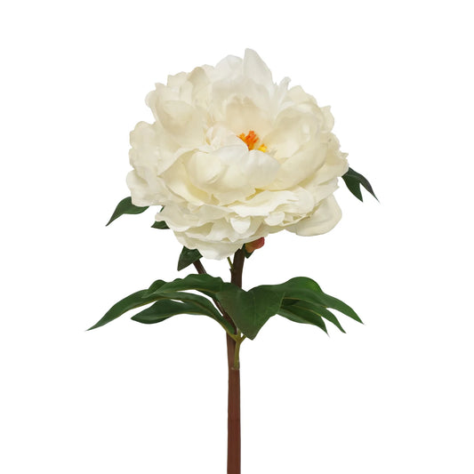 PEONY 20.5''
