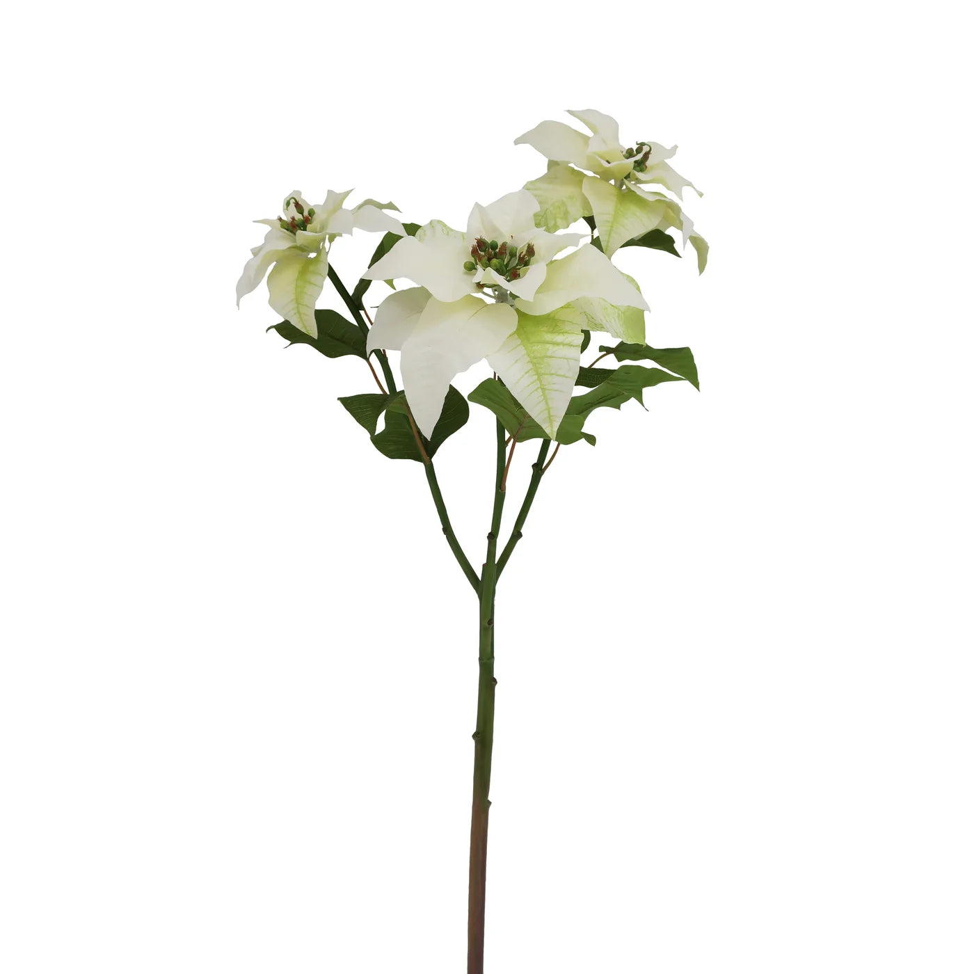 POINSETTIA BRANCH 36'' (WHITE)