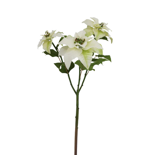 POINSETTIA BRANCH 36'' (WHITE)