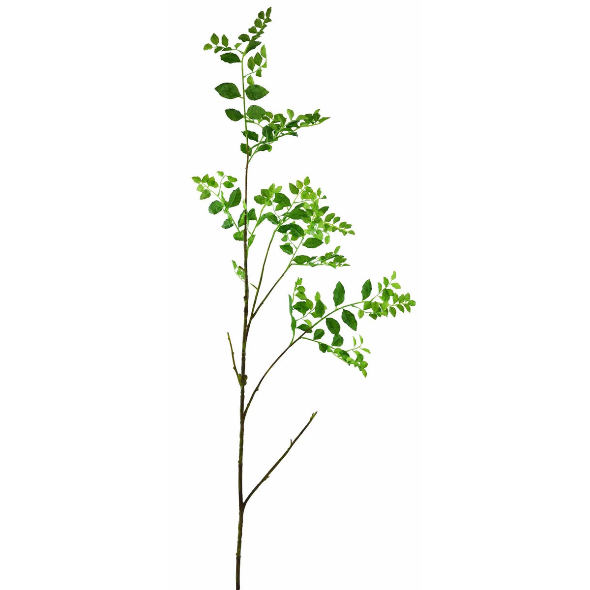 WILD WISTERIA 55''
